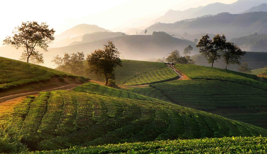 Photographers recommend that early in the morning is the best time to gaze on the hills as the first rays of sunshine light up the scene.