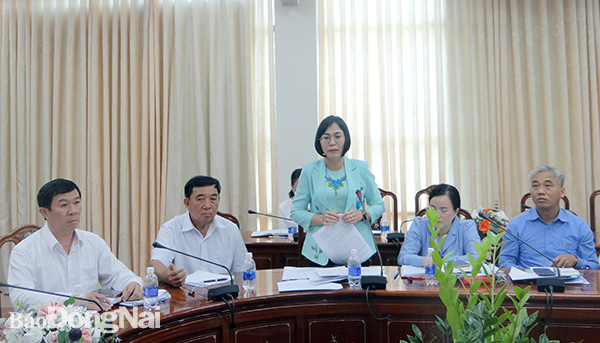 Phó chủ tịch UBND tỉnh Nguyễn Thị Hoàng phát biểu tại buổi kiểm tra