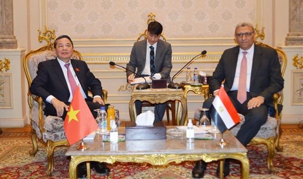 NA Vice Chairman Nguyen Duc Hai (L) and First Deputy Speaker of the Egyptian House of Representatives Ahmed Saad El-Din Mohamed Abd El-Rehim.