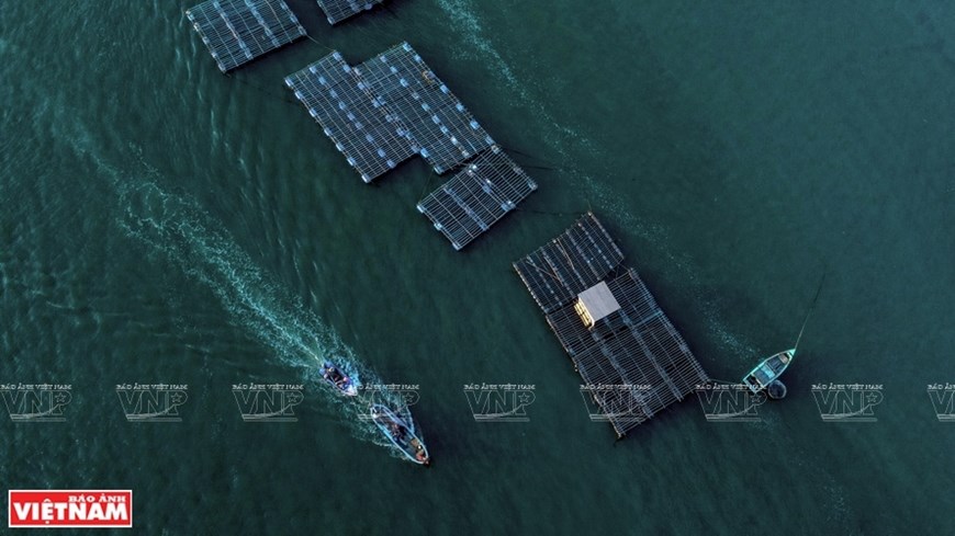 Cage farming of fish, shrimp, crab and oyster on Nai lagoon.