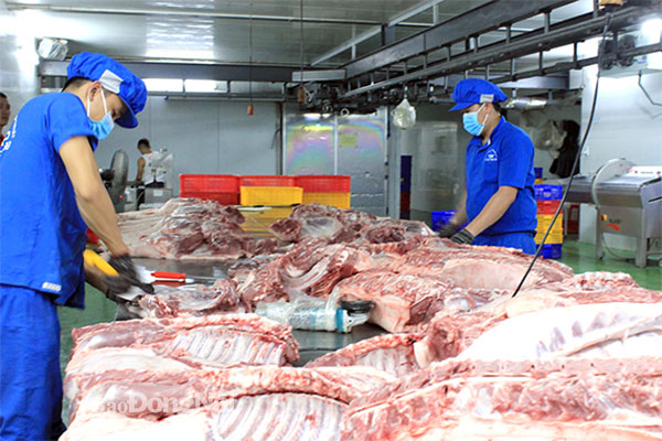 Đồng Nai đảm bảo nguồn cung thịt heo dồi dào cho thị trường Tết Nguyên đán 2023. Trong ảnh: Một cơ sở giết mổ heo tại TP.Biên Hòa. Ảnh: B.Nguyên