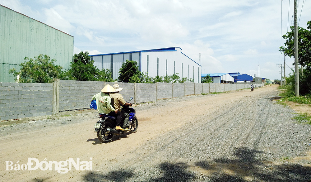 Nhiều nhà xưởng được xây dựng trái phép trong Cụm công nghiệp Phước Tân (TP.Biên Hòa). Ảnh tư liệu
