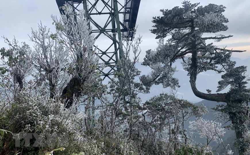 Frost and hoarfrost cover the road and trees in Hoang Lien National Park in the cable car area on the way to the top of Mount Fansipan