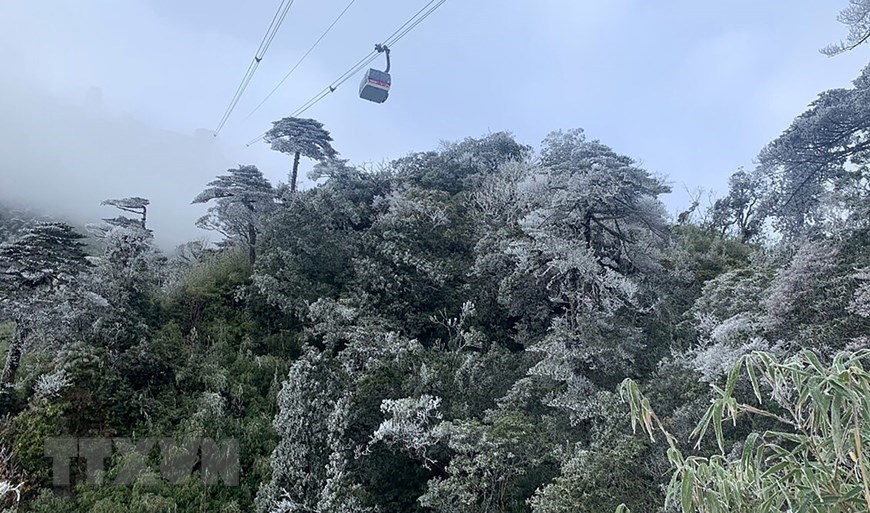 Authorities have advised people in mountainous areas throughout Lao Cai province, especially in places at an altitude of 2,000 metres or more above sea level, to be cautious about harmful frost and hoarfrost. 