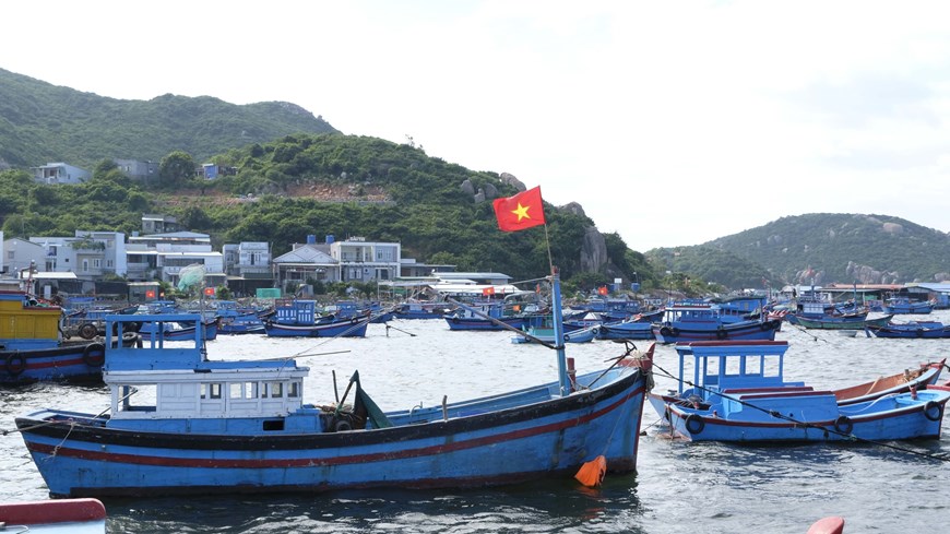 Caged lobster farming has brought incomes to local households, contributing to the island’s socioeconomic development. 