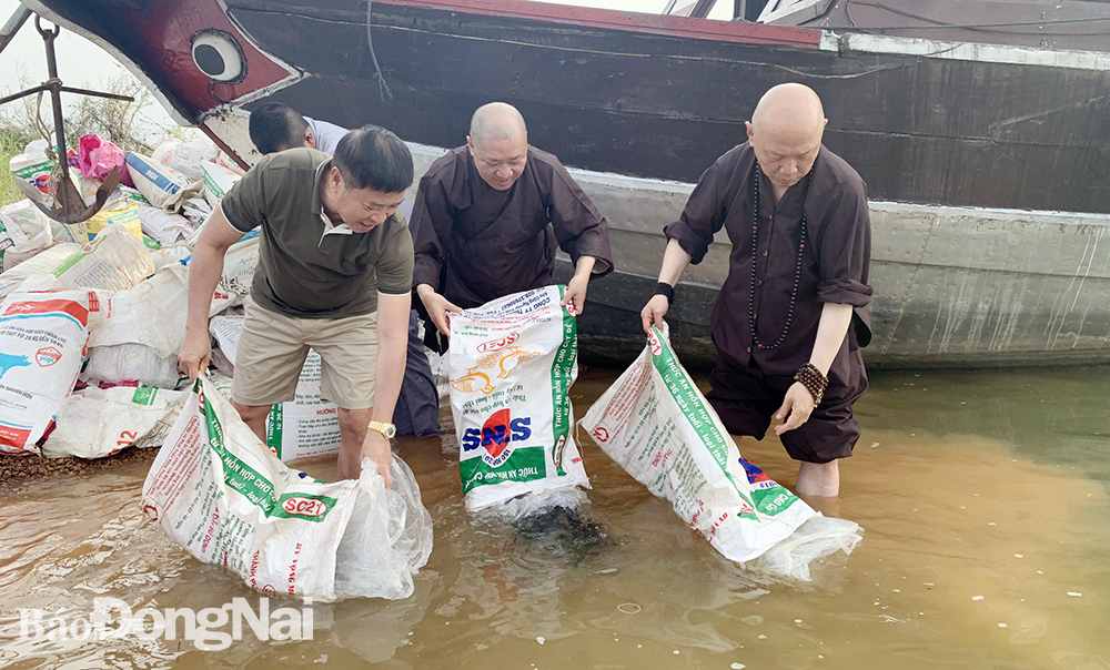 Các thành viên Viện Chuyên tu (H.Long Thành) tổ chức thả 2,2 tấn cá giống xuống hồ Trị An. (Trần Thanh)
