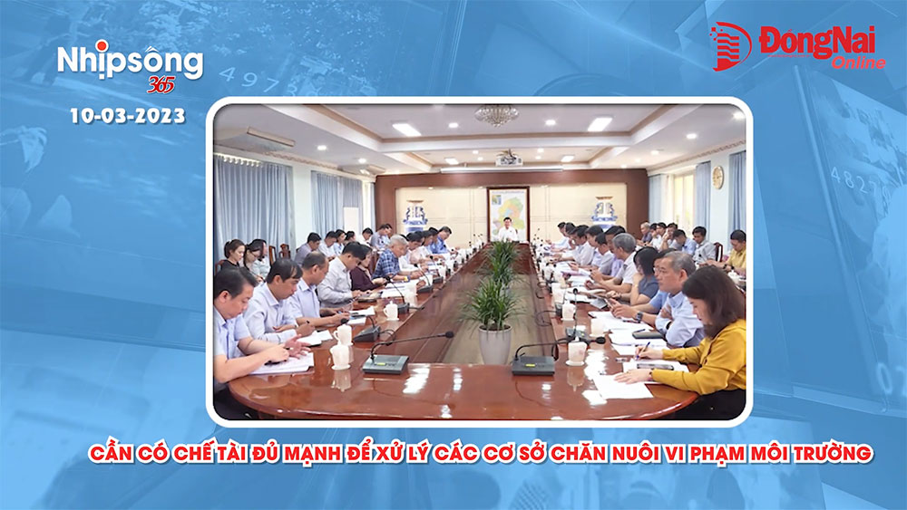 Bản tin truyền hình "Nhịp sống 365" thứ sáu ngày 10-3-2023