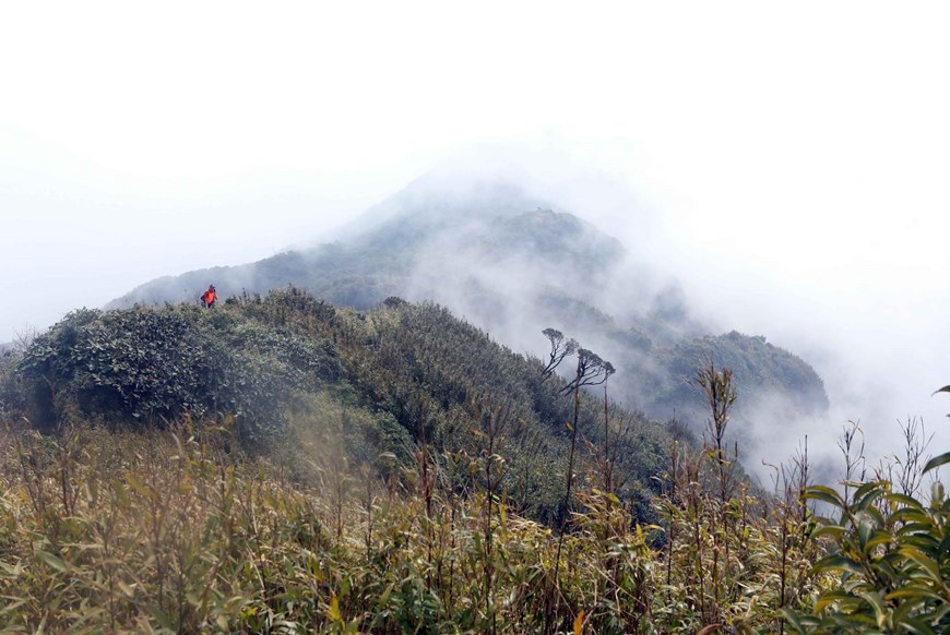 Bach Moc Luong Tu is the 4th-highest peak in Vietnam, after Mt Fansipan (3,143 metres), Pu Ta Leng (3,096 metres), and Pu Si Lung (3,076 metres). 