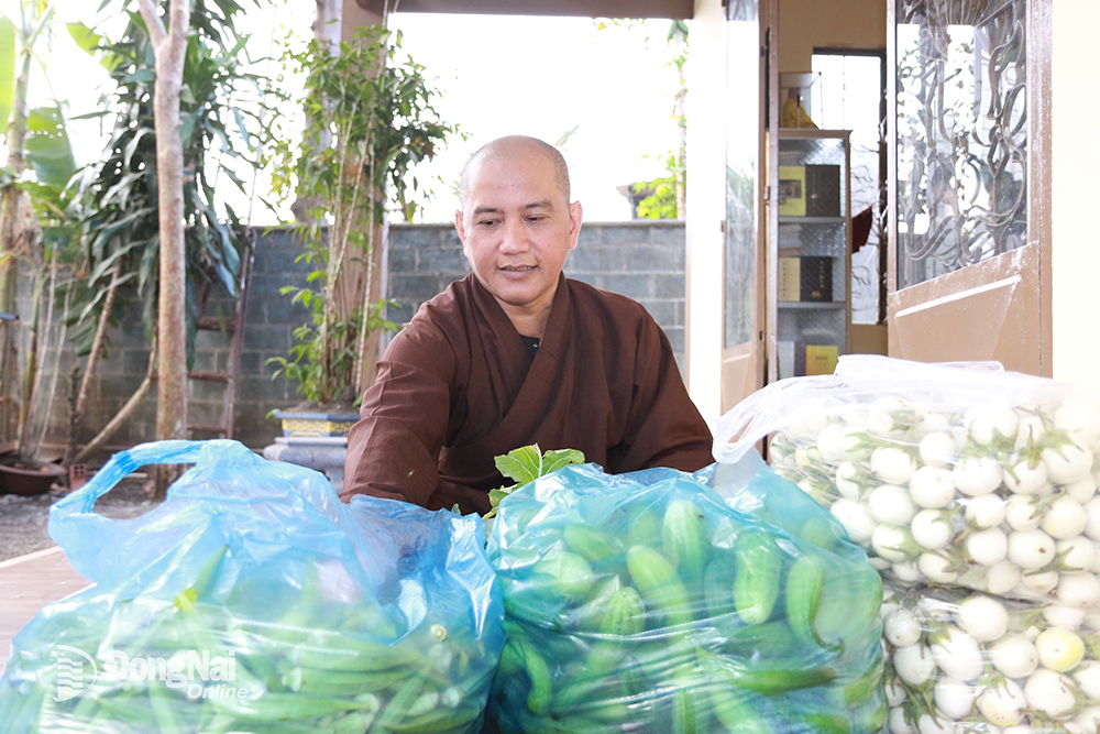 Đại đức Thích Pháp Đăng phân chia rau củ được phật tử ủng hộ thành từng phần nhỏ để chia cho những hoàn cảnh khó khăn. Ảnh: S.THAO