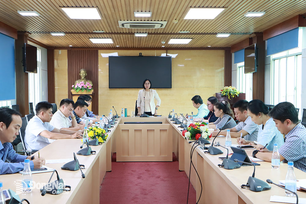 Phó chủ tịch UBND tỉnh Nguyễn Thị Hoàng chỉ đạo tại buổi làm việc