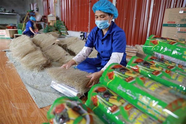 Bac Kan province's vermicelli exported to the Czech Republic.