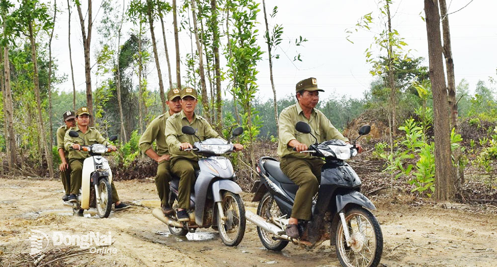 Lực lượng của Ban Quản lý rừng phòng hộ Xuân Lộc (H.Xuân Lộc) làm nhiệm vụ tuần tra bảo vệ rừng. Ảnh: T.Nhân