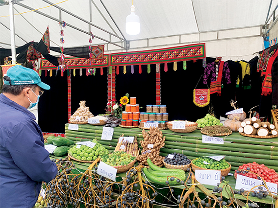 Gian hàng giới thiệu các đặc sản Tây Bắc ở Lễ hội hoa ban tỉnh Điện Biên năm 2023