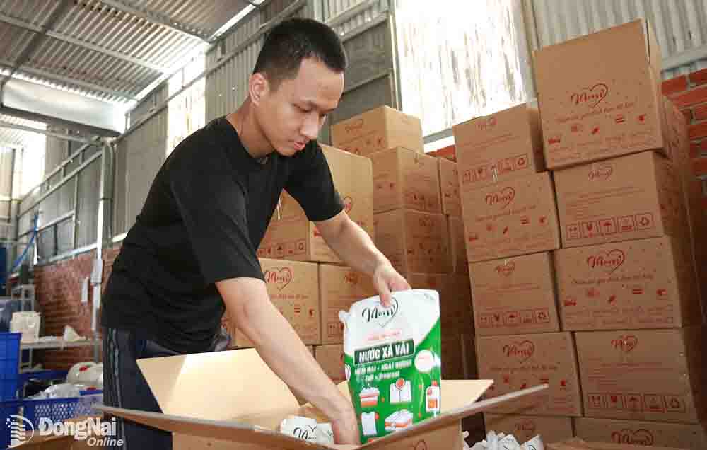 Điểm tựa của lao động tự do