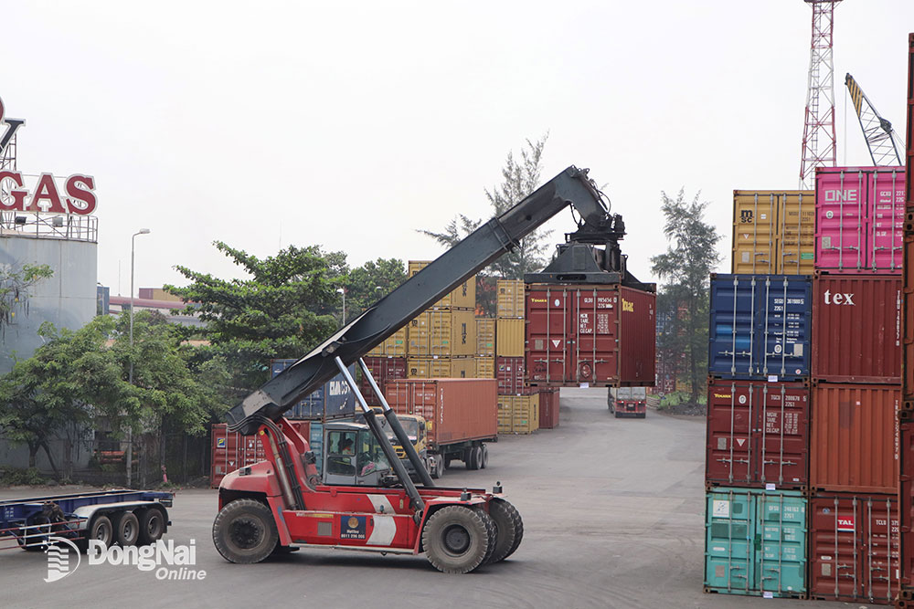 Do sản xuất hàng hóa khó khăn nên tỷ lệ container rỗng khá nhiều tại cảng Đồng Nai. Ảnh: N.LIÊN