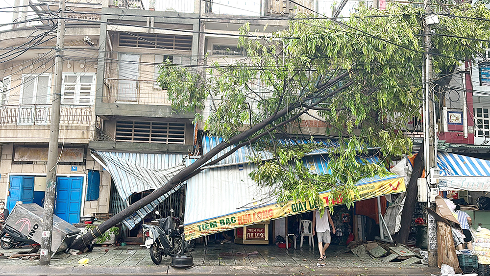 Cây xanh trên đường Lê Thánh Tôn, vỉa hè nhà lồng chợ Biên Hòa (P.Thanh Bình, TP.Biên Hòa) bị gãy ngọn, bật gốc sau cơn mưa dông kèm lốc ngày 22-5