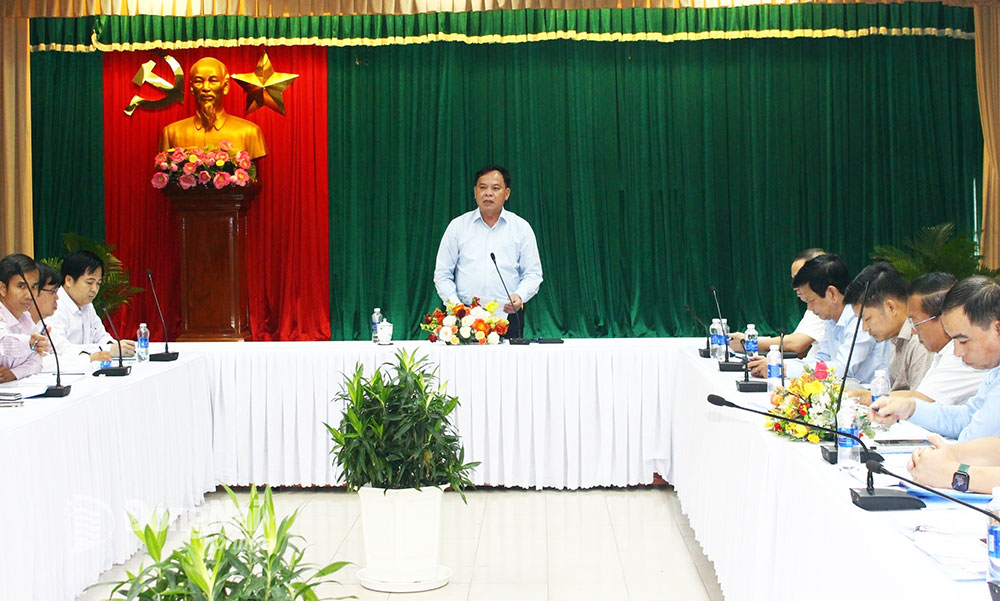 Phó chủ tịch UBND tỉnh Võ Tấn Đức phát biểu tại buổi làm việc