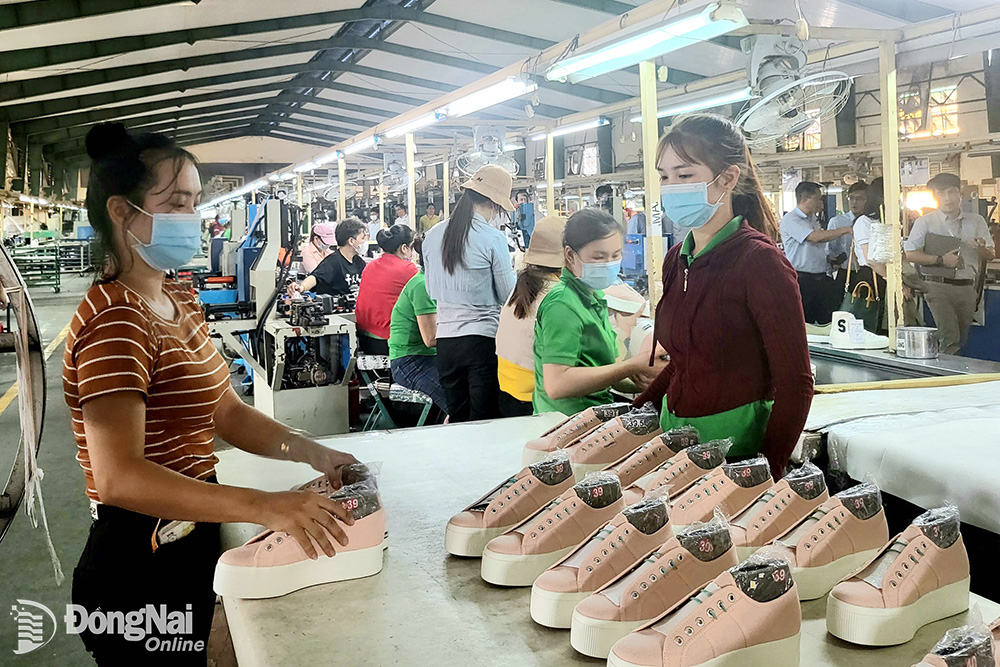Công nhân Công ty Giày Tuấn Việt (Cụm công nghiệp Phú Thạnh, H.Nhơn Trạch) trong giờ sản xuất. 