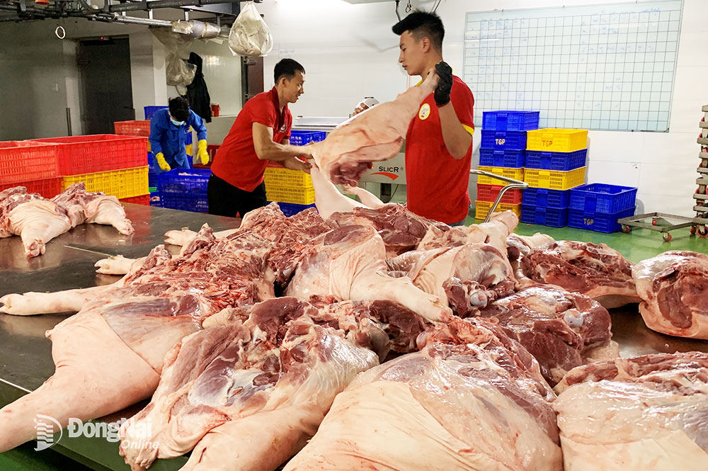 Công nhân của một lò giết mổ tại TP.Biên Hòa tổ chức pha lóc thịt heo