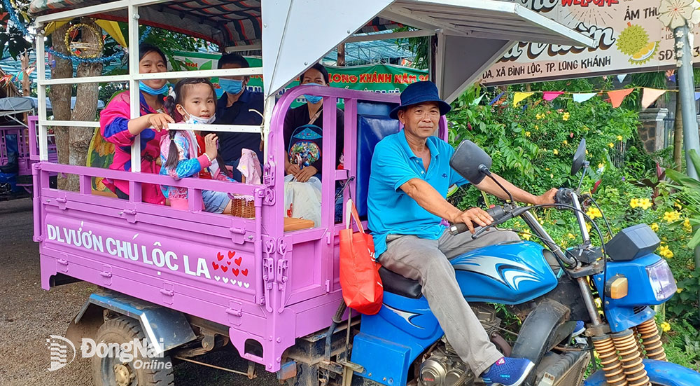 Ông Chè A Cẩu, nhân viên của Điểm du lịch sinh thái vườn Chú Lộc La chở khách tham quan các vườn cây ăn trái. Ảnh: A.Nhơn