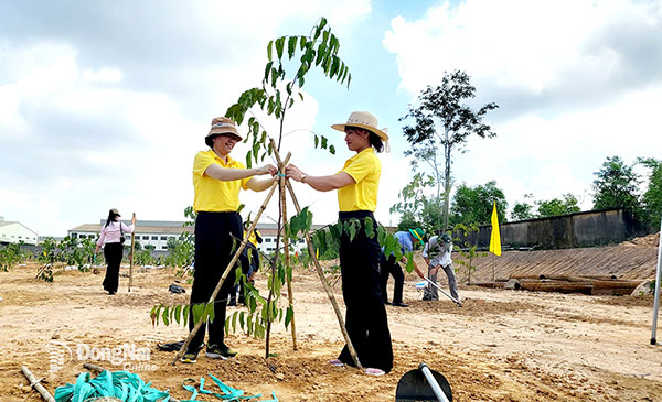 Chương trình trồng cây xanh nông thôn do Hội Nông dân tỉnh triển khai năm 2023