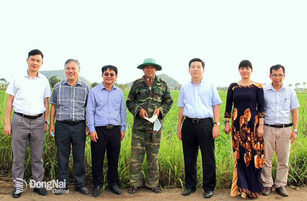Ông Thạch Vương, người có uy tín trong đồng bào dân tộc Khmer xã Lang Minh, H.Xuân Lộc (giữa) được Thứ trưởng, Phó chủ nhiệm Ủy ban Dân tộc Lê Sơn Hải (thứ ba, từ phải qua) tặng quà biểu dương ngay tại ruộng bắp ông đang làm việc vào cuối năm 2022