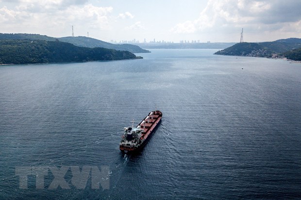 Tàu chở ngũ cốc di chuyển dọc Eo biển Bosphorus ngày 3-8-2022. (Ảnh: AFP/TTXVN)